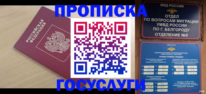 прописка законно в Чкаловске